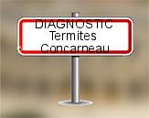 Diagnostic Termite AC Environnement  à Concarneau
